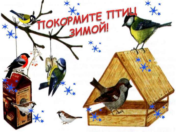 Акция “Покормите птиц зимой”.